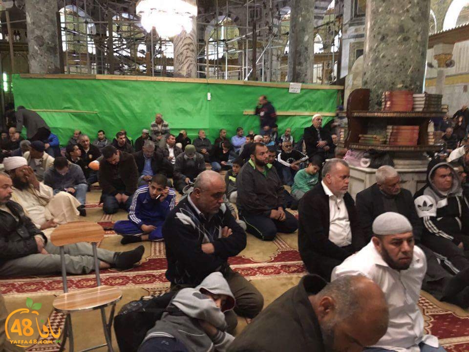 leqa2 shahrya (2).jpg